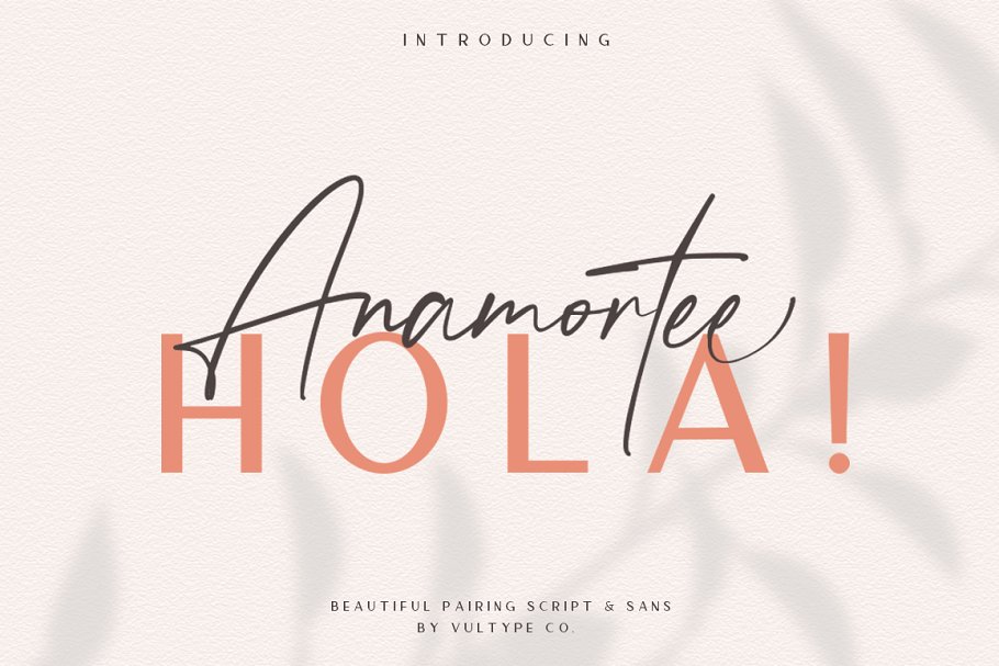 Download Anamortee // Modern Calligraphy Font