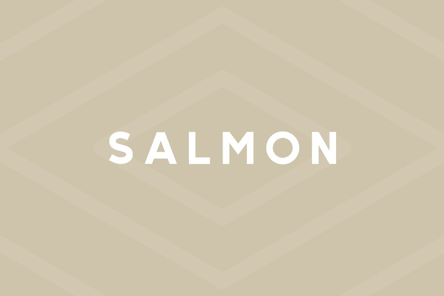 Download Salmon - Modern Sans Serif