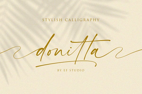 Download donitta | Stylish Calligraphy