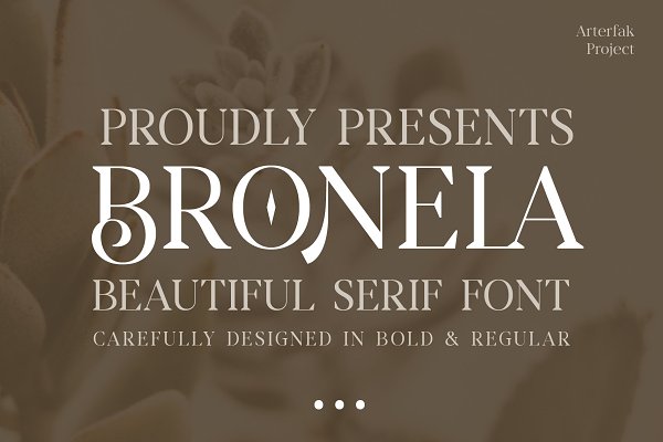 Download Bronela - Fashionable Serif