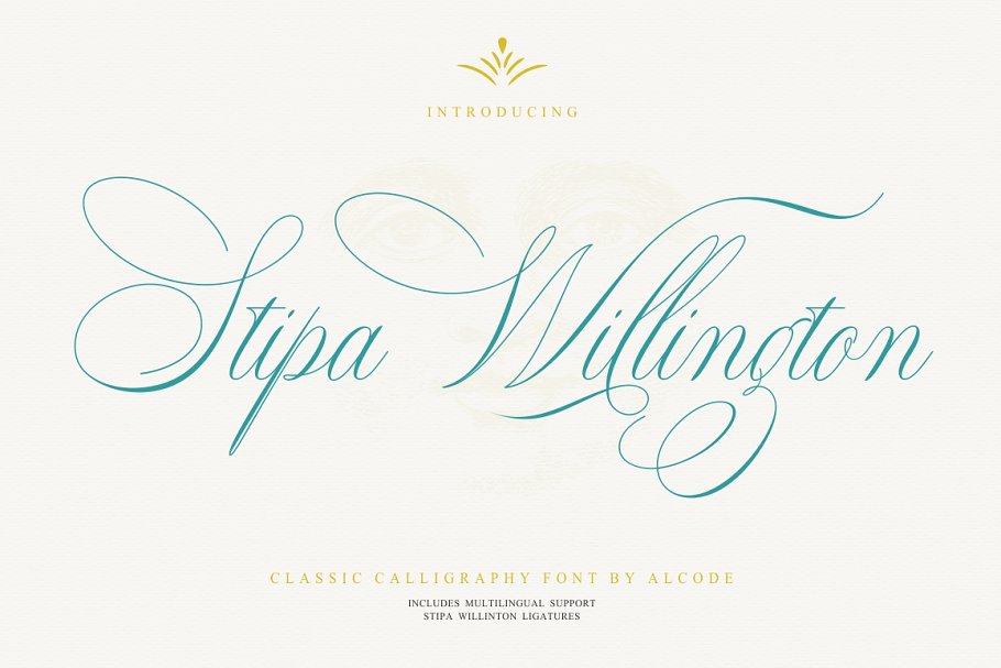 Download Stipa Willington