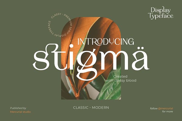 Download Stigma - Display Serif Font