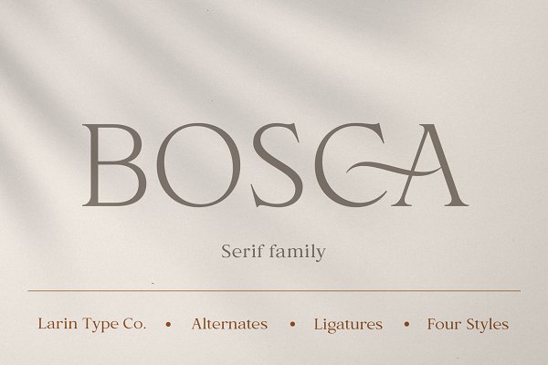 Download Bosca