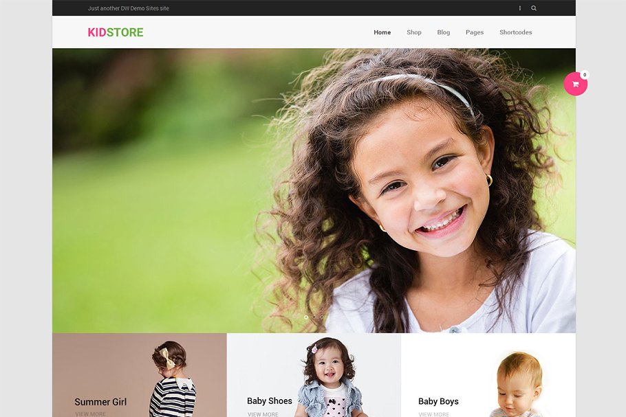 Download DW KidStore - WP eCommerce Theme