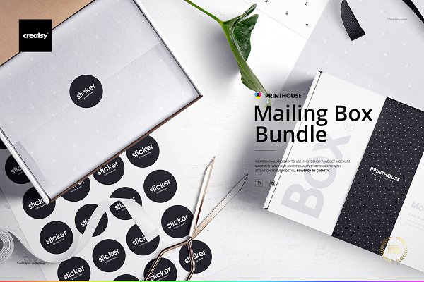 Download Mailing Box Mockup Bundle