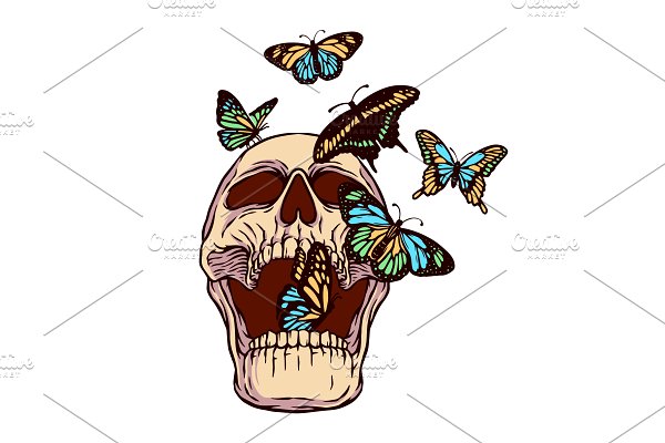 Download Skull and butterfly illustration