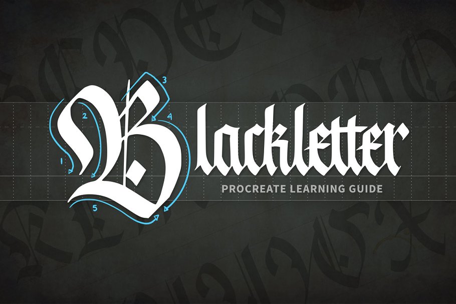Download Blackletter Procreate Learning Guide