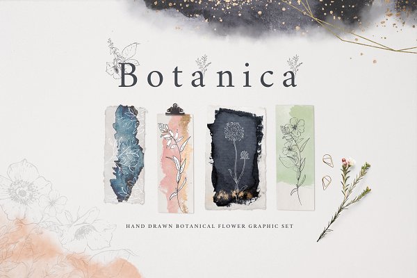 Download Botanical Graphic Collection
