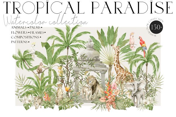 Download Tropical Paradise. Animals & Nature