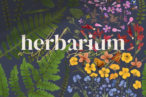Download Herbarium vol. 2: Wild Spring