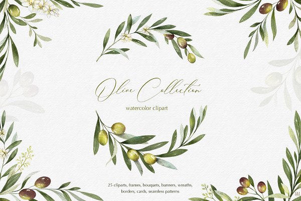 Download Olive watercolor collection