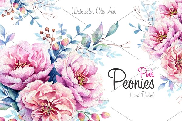 Download Pink Peonies Watercolor set