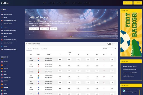 Download BetsB - Sports Betting HTML Template