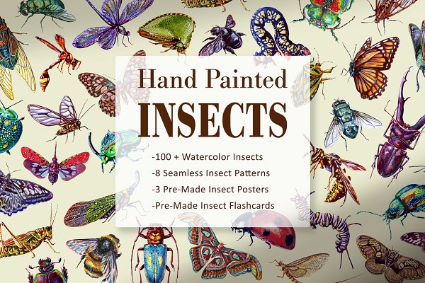 Download Hand Painted Insect Set
