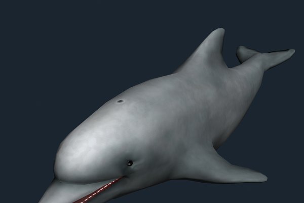 Download 3DRT - Sealife - Dolphin