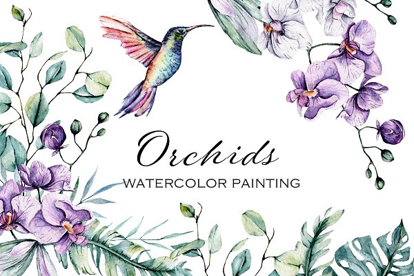 Download Orchids & hummingbird watercolor set
