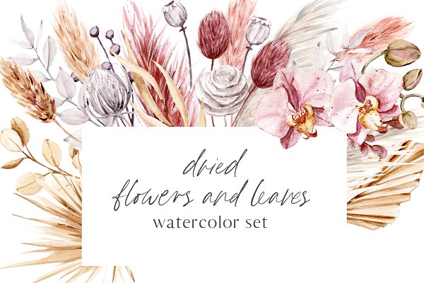 Download Dried flowers watercolor drawing.