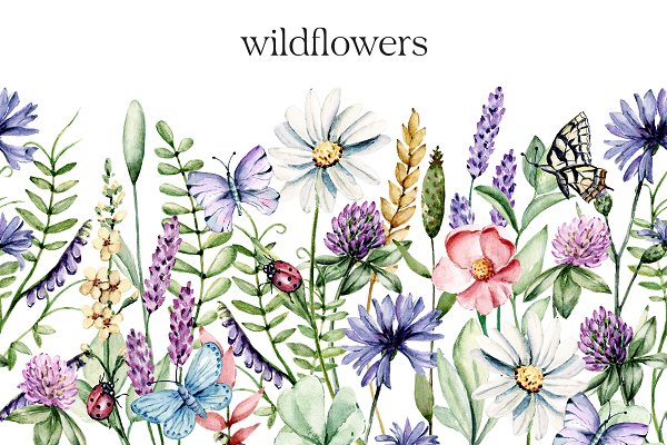 Download Watercolor set wild flowers.