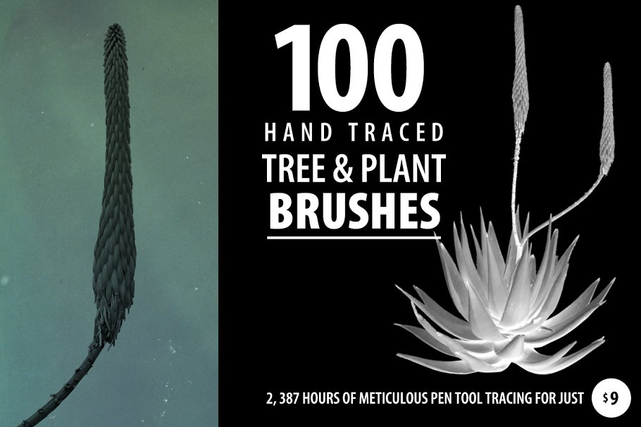 Download 100 Tree and Plant Brushes
