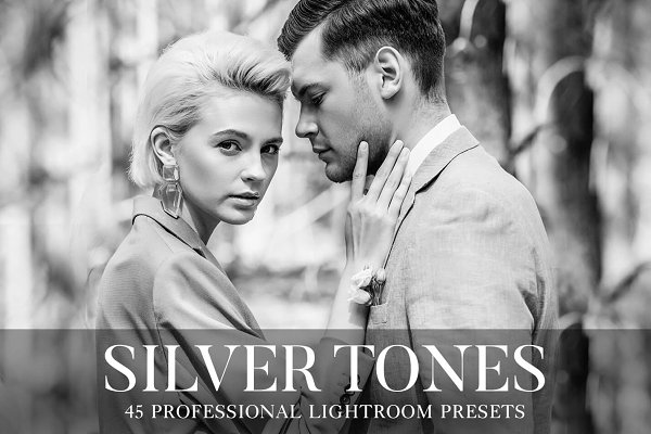 Download Silver Tones Presets Lightroom