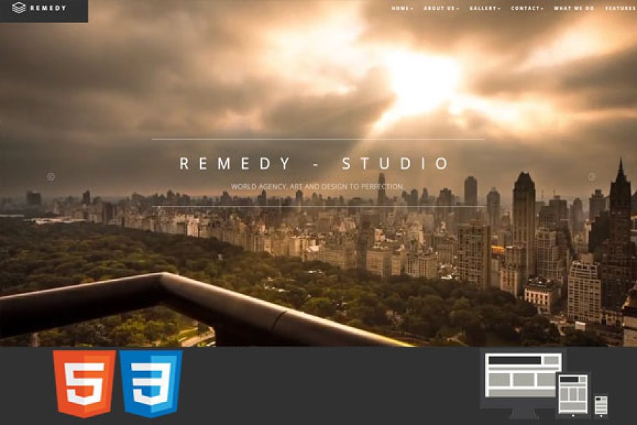 Download Remedy One/Multi Page HTML Template