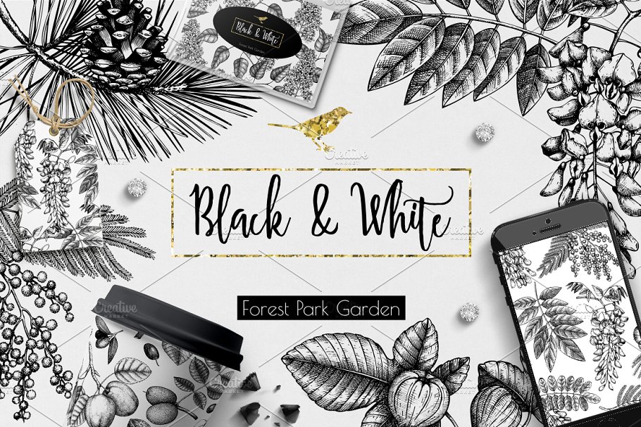 Download Black & White Trees Collection