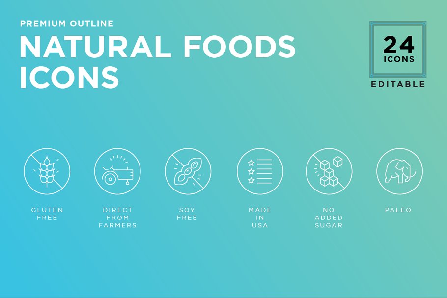 Download Essential Food value icon set