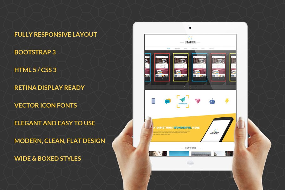Download Leader Responsive Bootstrap Template