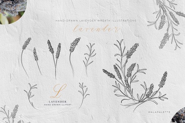 Download Lavender Wreath Illustration Clipart