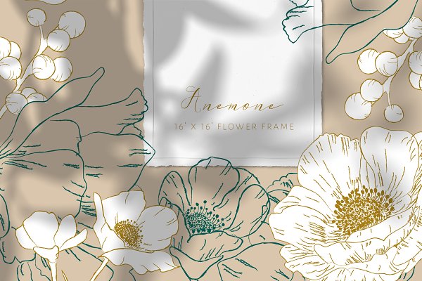 Download Anemone Flower Illustration&Pattern