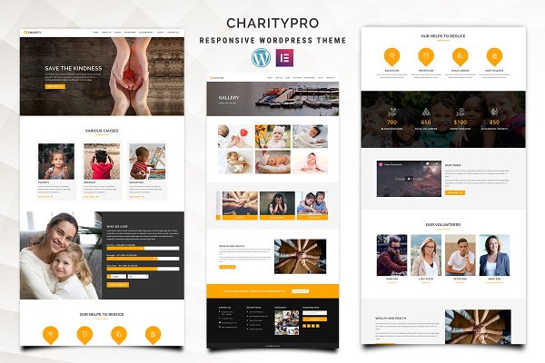 Download Charitypro – Charity WordPress Theme