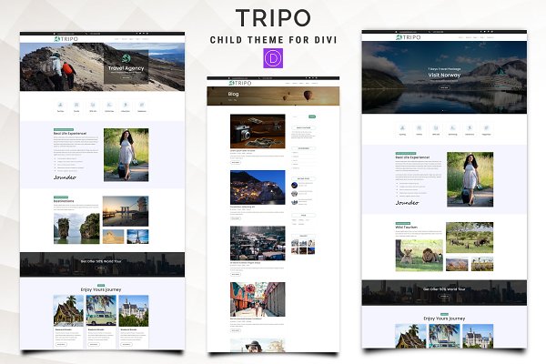Download Tripo Divi Child Theme