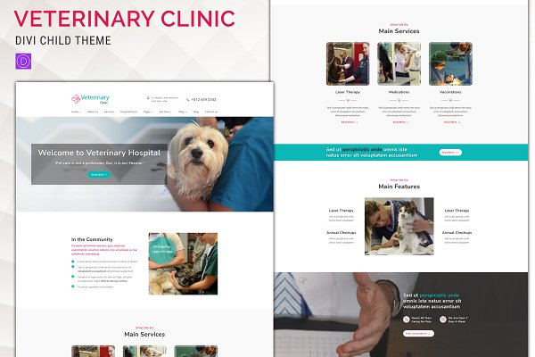 Download Veterinary Clinic – Divi Child Theme
