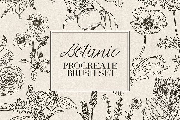 Download Procreate Stamps Botanic Brushes