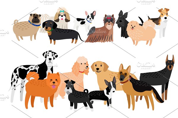 Download Different dogs breeds collection