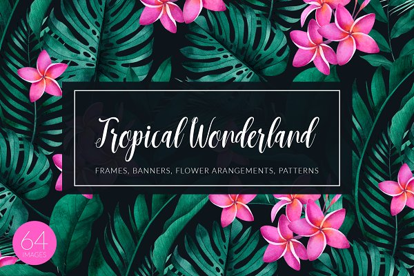 Download Tropical plants and flowers set