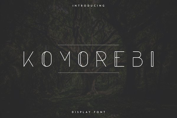 Download Komorebi Display Font -30%
