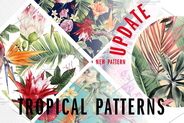 Download Tropical patterns UPDATE + 1 pattern