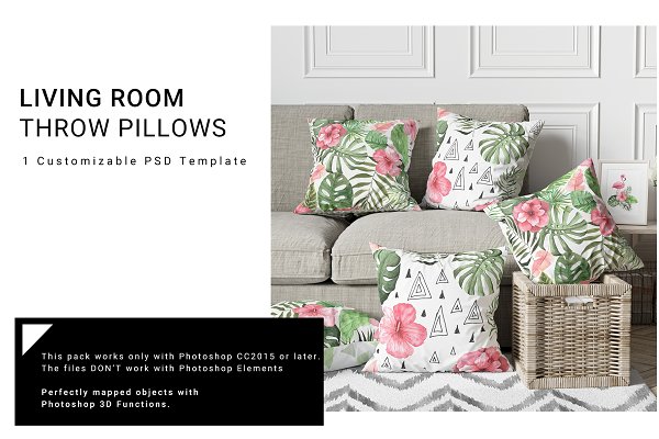 Download Throw Pillows in Living Room Set
