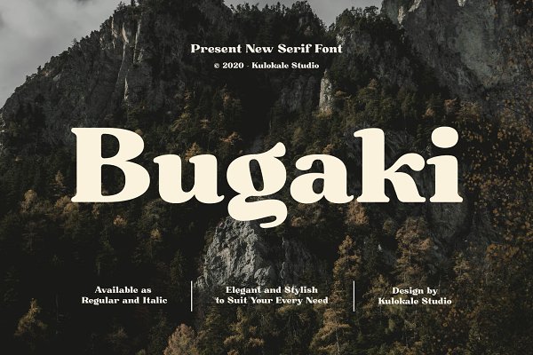 Download Bugaki - Elegant Serif Font