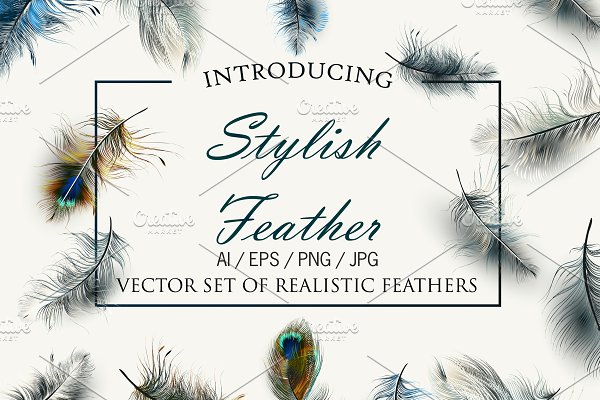 Download Vector realistic feathers set