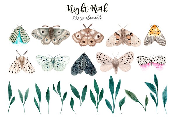 Download Night Moth. Watercolor Patterns