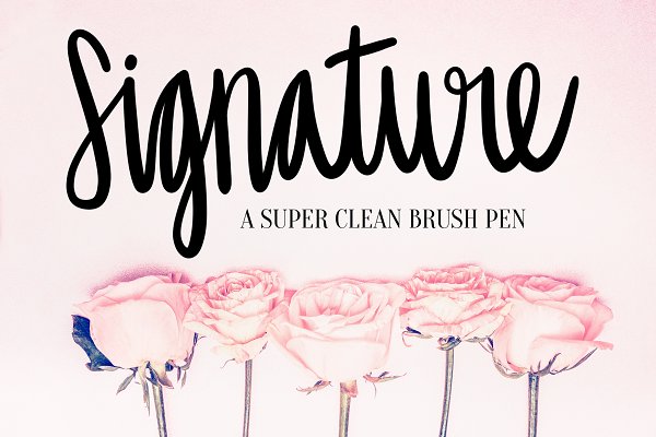 Download Signature Procreate Lettering Brush