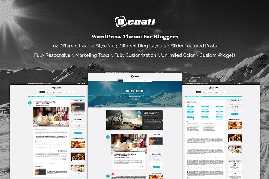 Download Denali - Professional Blogging Theme