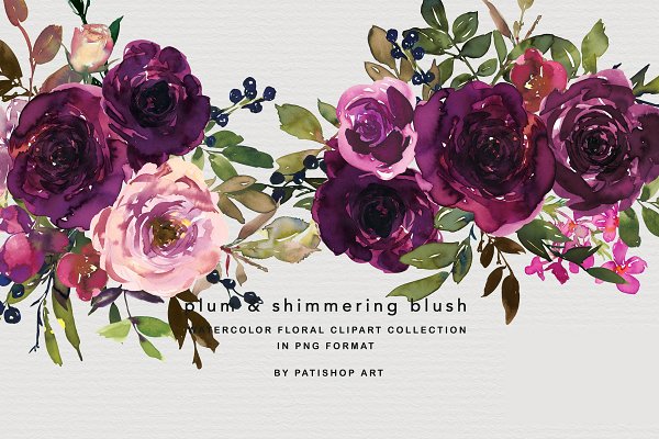 Download Plum & Blush Watercolor Floral Set