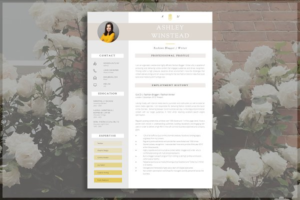 Download 2 Page CV Template