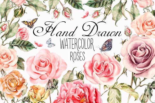 Download Hand drawn watercolor roses