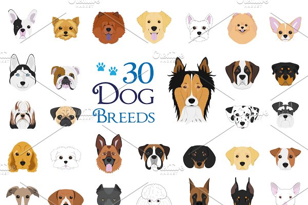 Download 30x Dog breeds Vector Collection