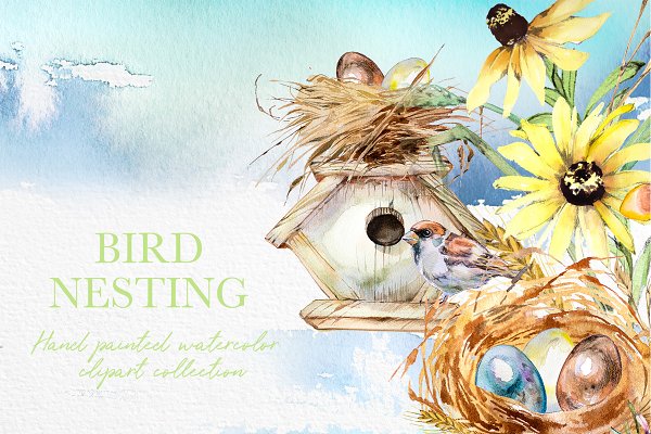 Download Watercolor Bird Nesting Clipart