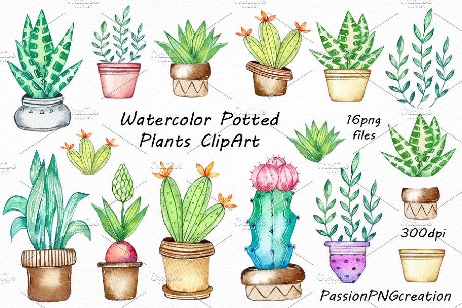 Download Watercolor potted plants clipart
